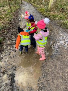 Forest school