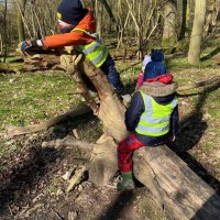 Forest school