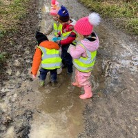Forest school